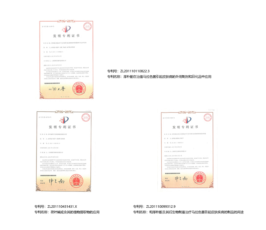 荷碱祛屑精粹专利证书 荷碱祛屑精粹专利证书