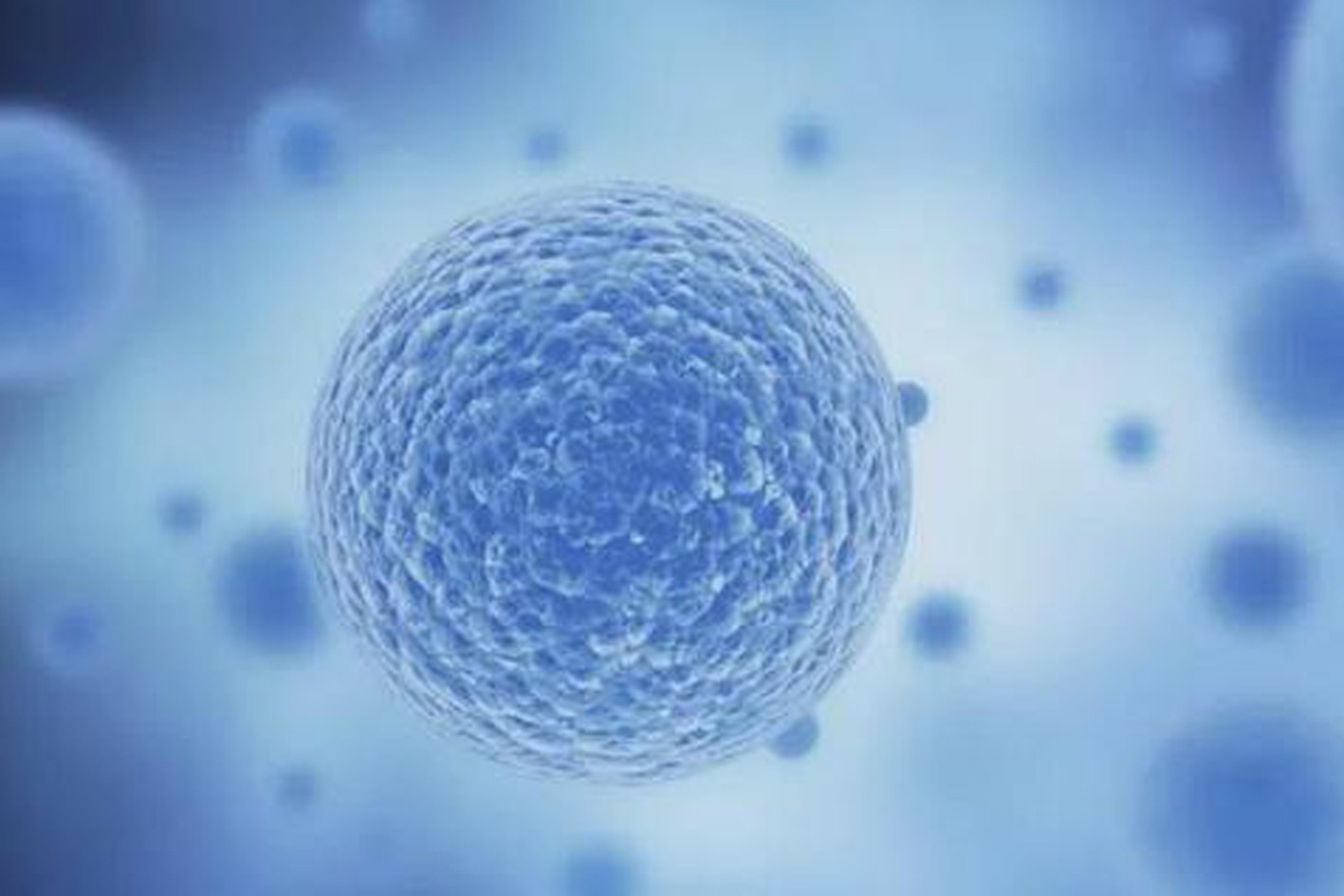 艾迪苯醌脂质体