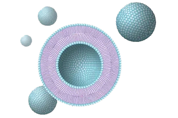 1655703674014082806.jpg 辅酶Q10.jpg