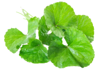 1764052496576043904.png 图片12.png