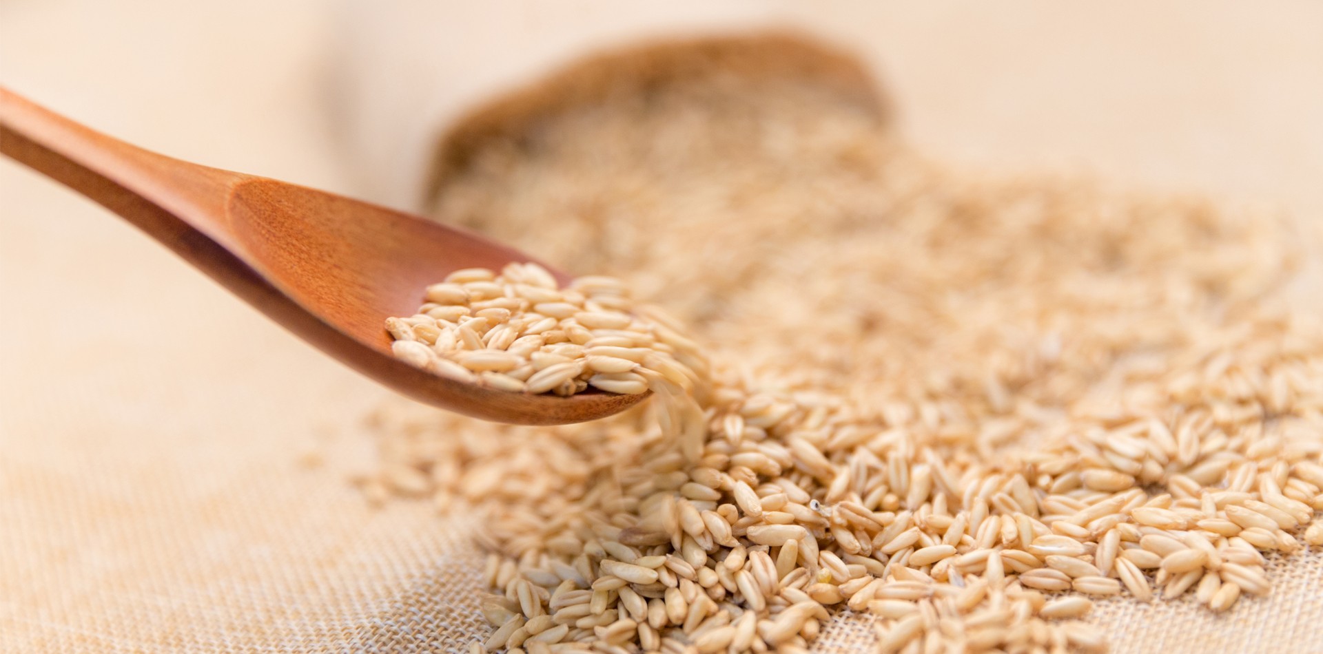 Small-molecule oat β-glucan provides endogenous moisturizing effects and repairs the skin barrier