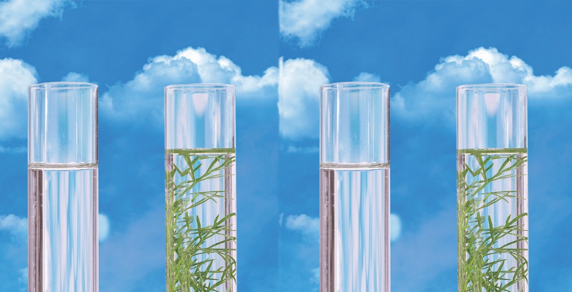 Research and Development Trends of Natural Novel Ingredients in Cosmetics