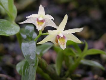 This is a product title